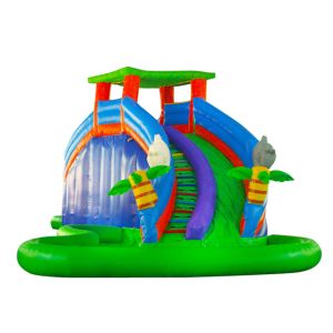 Aldult Outdoor Rental Inflatable Large Water Slides With Bouncy