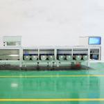 8 Lanes 8 Expectation Discharges Dates Sorting Machine High Output