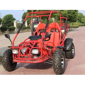China Horizontal Type Go Kart Buggy 4 Stroke Air Cool 4 Seater Front / Rear Disc Brake on sale