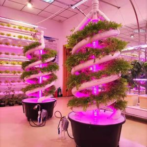 Double Helix Hydroponic Indoor Garden Vertical Hydroponics Growing System