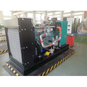 50HZ/60HZ Frequency Open Frame Gas Bio Gas Generator for Customized Requirements