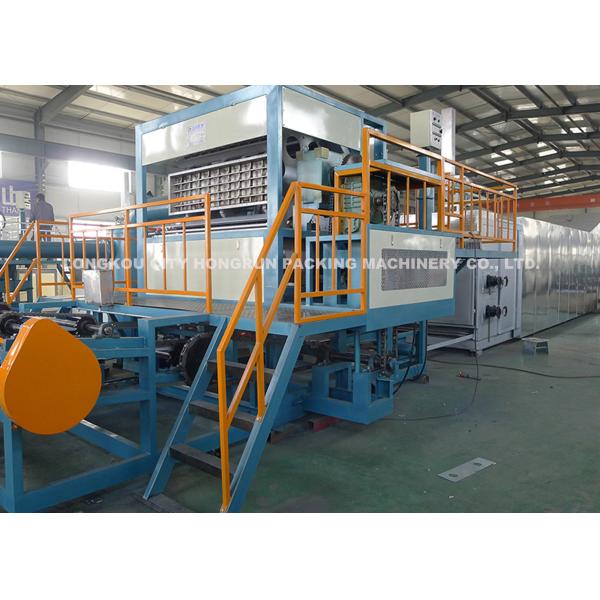 Quality 4000pcs/h 8 sides rotary type automatic egg tray machine with 6 layer drying line wholesale
