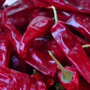 Cheap Air Dried Dried Red Chilli Peppers For Spicy Hot Pot And Sichuan Cuisine for sale