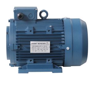 Y2SH100L-4 Three Phase Induction Motor 2.2kw 3hp
