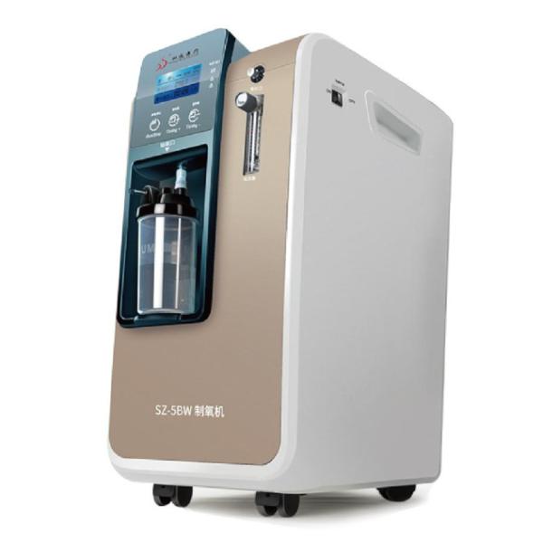 Quality Continuous Flow 3L 5L Portable Oxygen Concentrator Machine wholesale