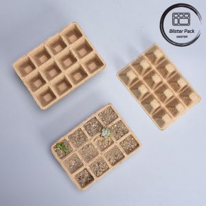 10 & 12 Cell Biodegradable Seed Starter Trays for Efficient Nursery Plant Growth
