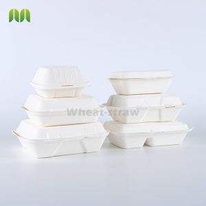 Envases Bagazo Pulp paper disposable bowls and plates