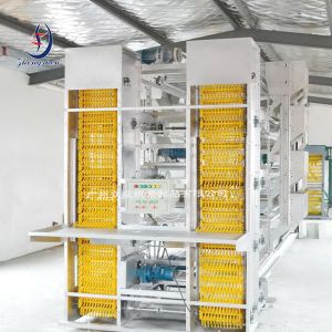 08B Double Ear Chain For Automation Egg Collection Machine Accessory