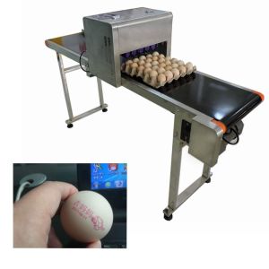 Electric Egg Stamping Machine 600 DPI High Resolution With 1 - 4 Printing Lines