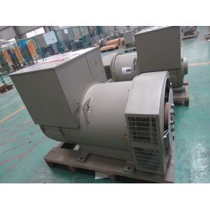 250KVA Brushless AC Generator With Good AVR And H Class Insulation
