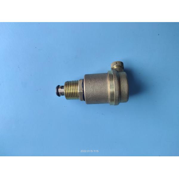 Quality Automatic Exhaust Brass Water Valve Anti Corrosion External Thread 1.6mpa Rustproof wholesale