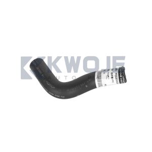 OEM 302002325AA ENGINE PTC WATE ROUTLET PIPE ASSY For Jetour L6