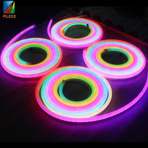 Flexible Addressable RGB LED Neon Flex With Remote Music Controller OEM
