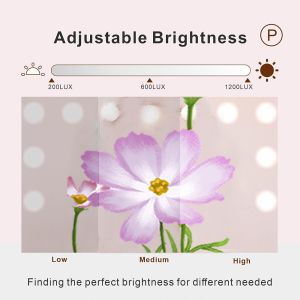 Experience Hollywood Glamour Every Day with Hollywood Mirror