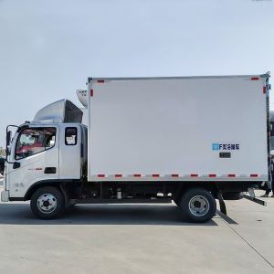 Foton Refrigerated Truck for Fresh Vegetables and Ice Cream Transport 11-20T