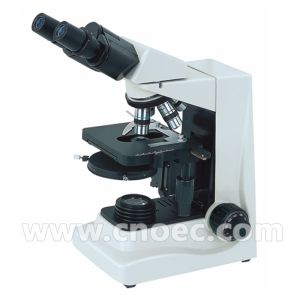 400X / 100X Laboratory Compound Optical Microscope , Phase Contrast Microscopes