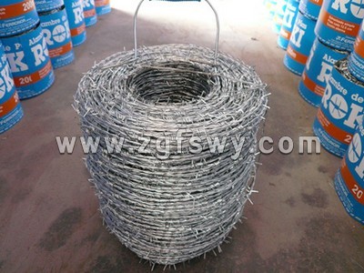 galvanized barbed wire