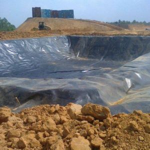 Online Technical Support LUXIN Geomembranes Fish Pool Liner for Swimming Pool