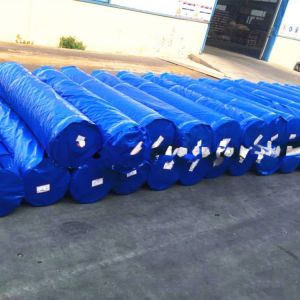 Waterproof Heavy Duty 2m x 100m HDPE Tarpaulin Roll with Coated Woven Pattern in