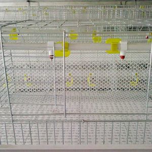 China Hot Dipped Galvanized Broiler Chicken Cage H Type 4 Tier 2 Doors for farm on sale