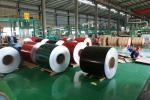 Colour/Painted 1100 1050 1060 3003 5052 8011 Aluminum Coil for ACP and Roofing