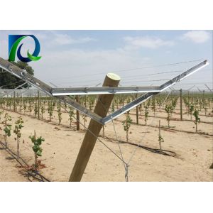 High Strength Table Grape Trellis Systems , Galvanised Steel Vineyard Posts