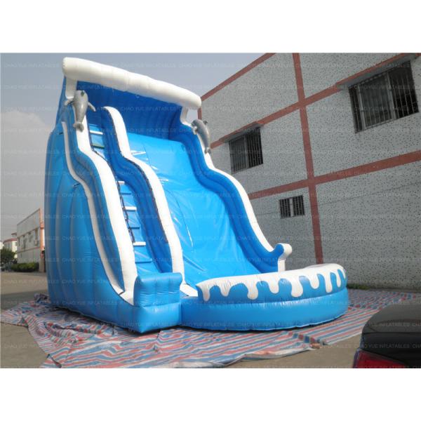 Quality Shark Inflatable Water Slide (CYSL-37) wholesale