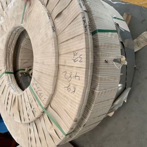 TISCO Stainless Steel Strip Roll Cold Rolled AISI 444 0.4-3.0mm