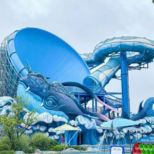 Water House Fiberglass Water Park Combination Slides Prices Home Fountain Wet