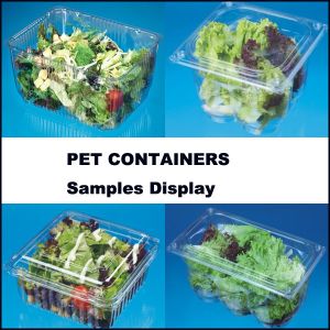 Hot sale Plastic Vacuum Thermoforming Machine For Food Containers/ High