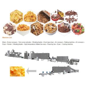 Kelloggs Corn Flakes Processing Line