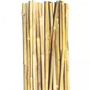 China 250cm Raw Bamboo Poles Bamboo Stakes For Decoration Plant on sale
