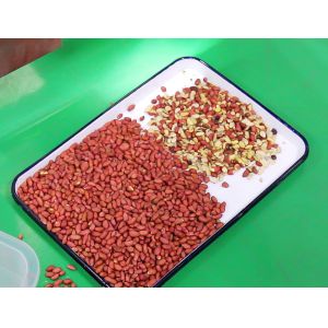 Wenyao Automatic Peanut Color Sorter Multifunction Nut Color Sorting Machine