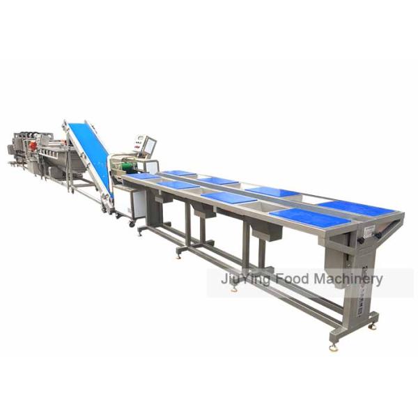 Fruit And Vegetable 184mm/s 8 Stations Selection Working Table