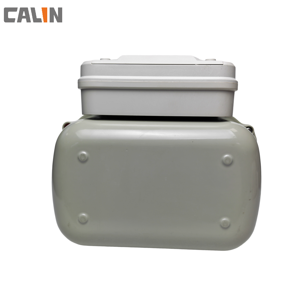 Calin STS Prepaid Gas Meter Smart Gas Meter LoRaWAN Cloud White Steel For