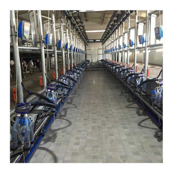 Quality Electric goat Herringbone Milking Parlor with Automatic system wholesale