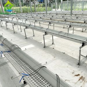 Vertical Farming Soilless Cultivation Hydroponic NFT Square Pipe System