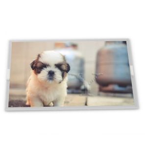 N080ICE-GB0 Rev.C2 8inch TFT LCD Display Modules new high quality touch screen