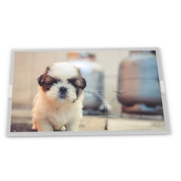 N080ICE-GB0 Rev.C2 8inch TFT LCD Display Modules new high quality touch screen