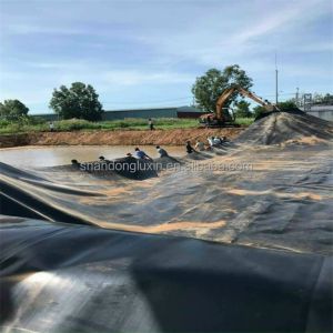 Industrial Design Style HDPE Geomembrane Liner 0.5mm 1.0mm 1.2mm 2mm for Fish