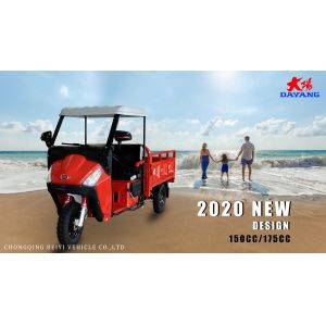 DAYANG C2 175CC Gasoline Engine Cargo Tricycle Lightweight and Ideal for Narrow