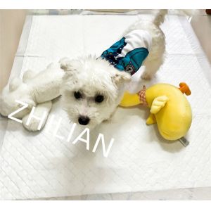 Pet Training Underpad Making Machine 350 M / Min