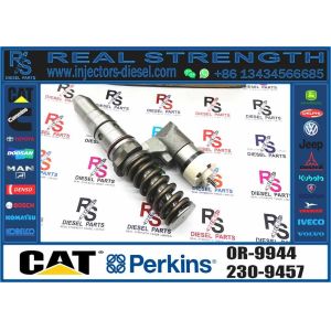 Excavator Parts 3116 Engine Injector 0R-8483 0R-3002 0R-8477 0R-3190 0R-8473 4P