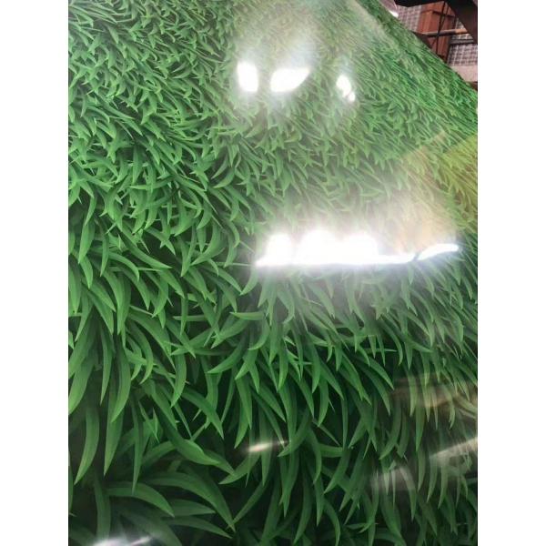 Quality Color-coated Coil: Taking Material As The Root And Leveraging Properties To Unlock Application Secrets wholesale