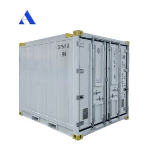 10 Feet DNV 2.7-1 Standard Container Freezer Frozen Offshore Refrigerated Reefer