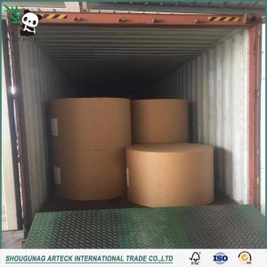 Gift Wrapping Paper 250g300g Coated One Side C1s/Fbb for Making Postcard