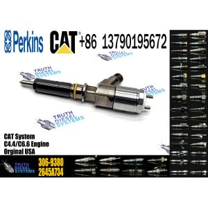 Common Rail Injector 306-9380 306-9390 310-9067 2645A751 320-0655 320-0688