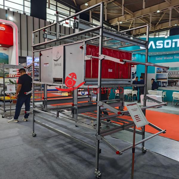 Quality Reduced Floor Egg Cage Free System 3 Tiers wholesale