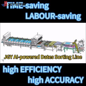 Cheap AI-Powered High-Precision AJwa Medjool Date Sorting Machine: 8 lanes Capacity 2.6Tons per Hour 304SS for sale