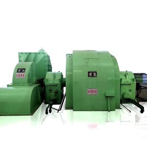 High Efficiency Pelton Water Wheel Generator 400V 600V 800V 11KV 13.8KV